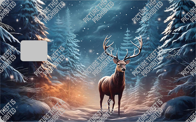 Bank  Card Sticker-BC-2778